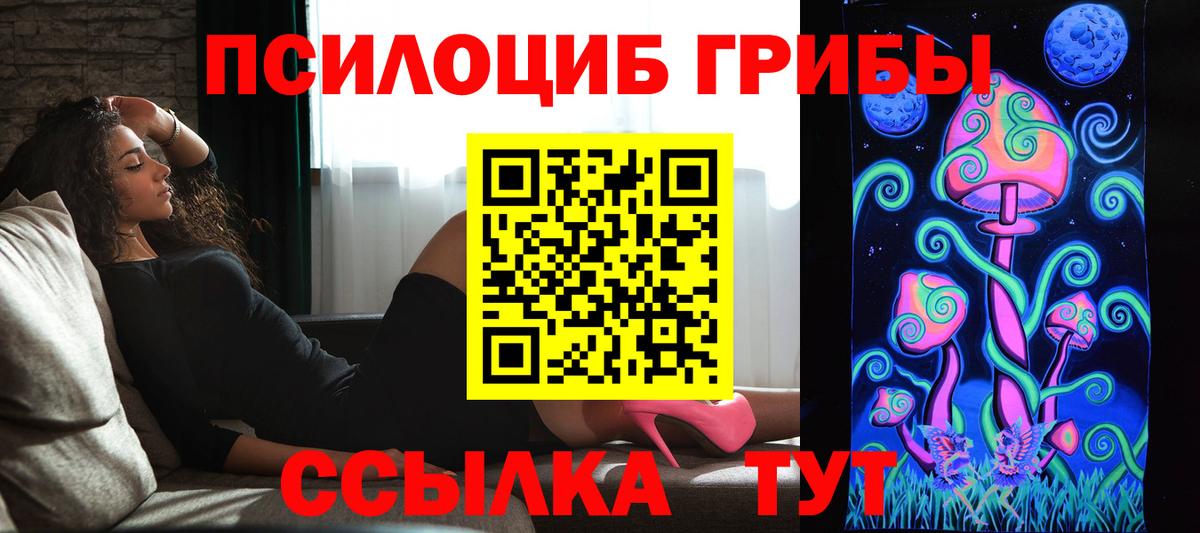 Галлюциногенные грибы Psilocybe Россия